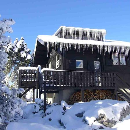 Chalet Des Myrtilles - Chalet Cosy Avec Vue Arette Dış mekan fotoğraf