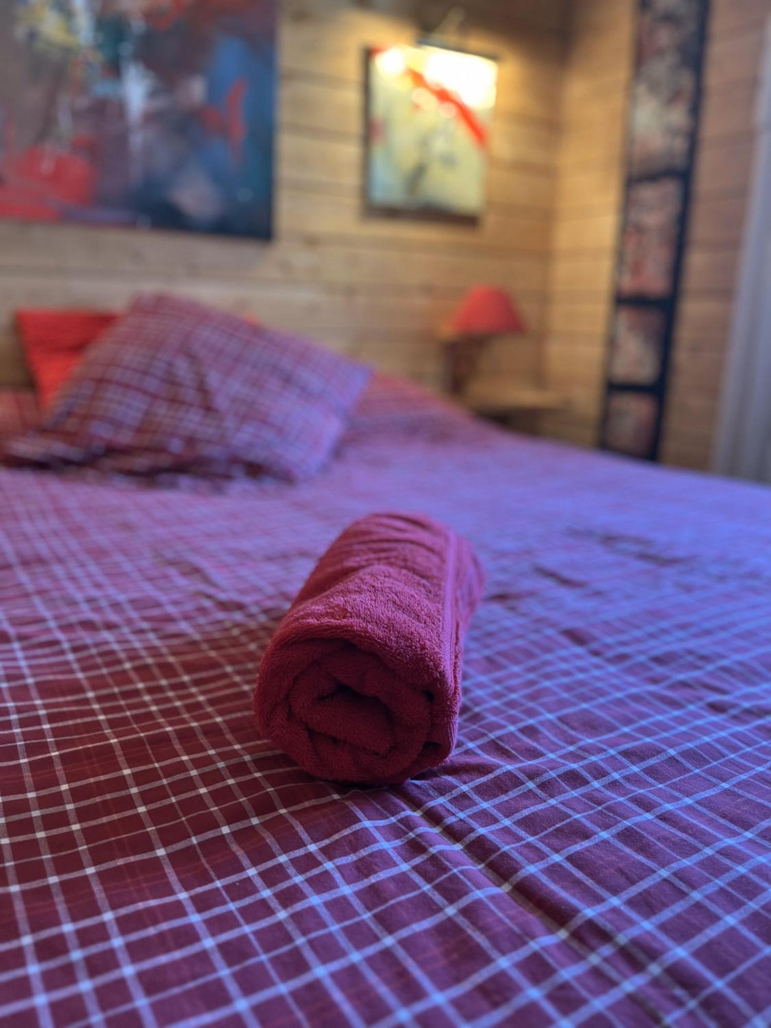 Chalet Des Myrtilles - Chalet Cosy Avec Vue Arette Dış mekan fotoğraf