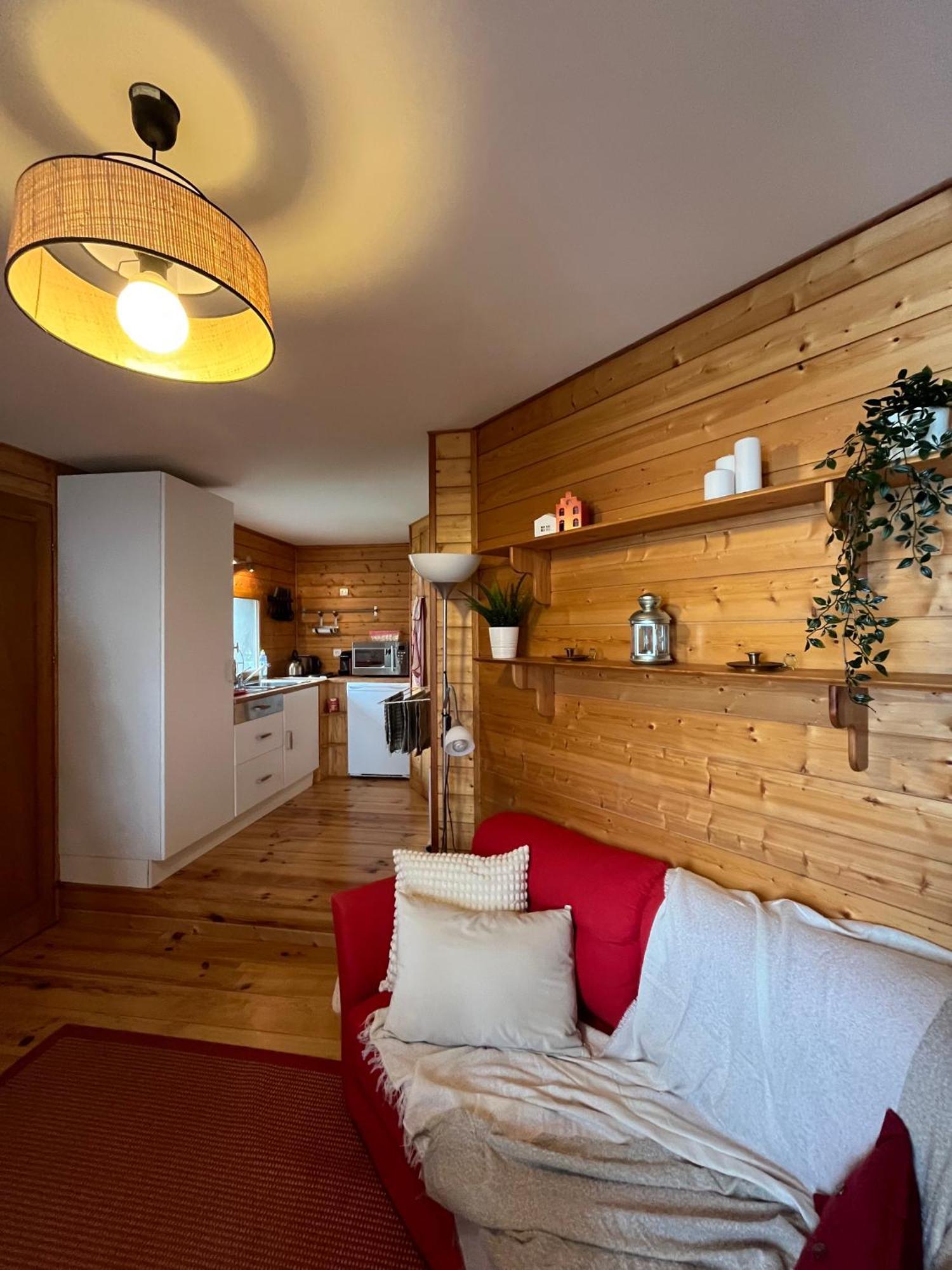 Chalet Des Myrtilles - Chalet Cosy Avec Vue Arette Dış mekan fotoğraf
